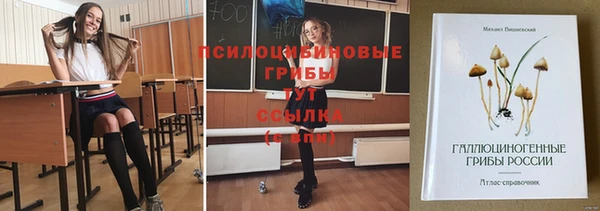 винт Осташков